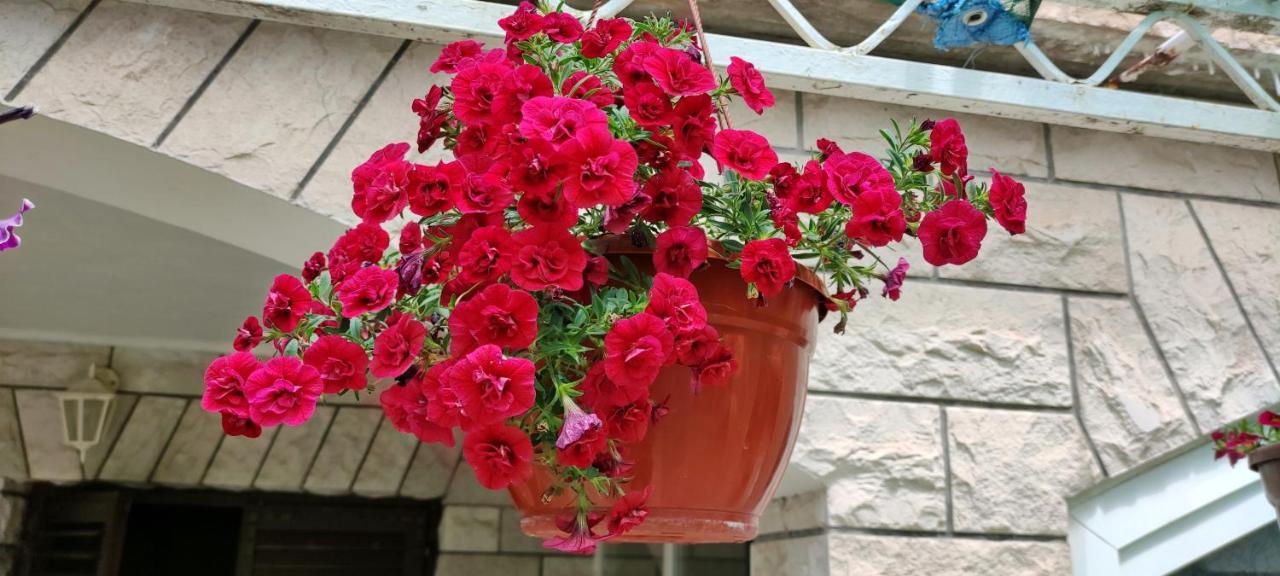 Apartments 1000 Flowers Stari Grad  Exterior photo