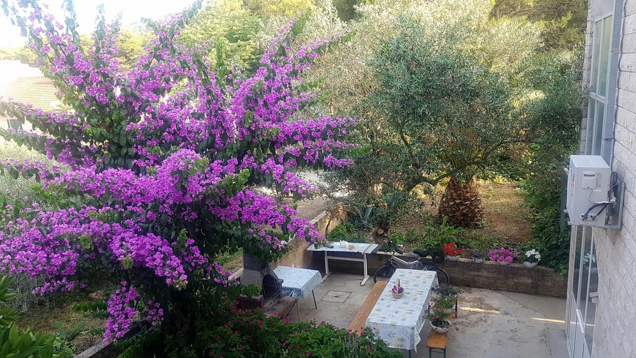Apartments 1000 Flowers Stari Grad  Exterior photo
